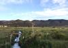 Acequia de los Vallejos in southern Colorado’s San Luis Valley with hills in the background and blue skies with some clouds